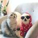 Stock Show Funny Cute Dog Cat Sunglasses - Retro Fashion Eyewear for Pet Photos - Black - Buy Online on GoSupps.com