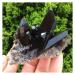 200-300g Rare Natural Beautiful Black Quartz Crystal Cluster Tibetan Specimen Decoration Crystal Cluster