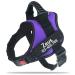 Pawpawify dog harnesses against pulling with personalizable name and telephone number hard-wearing prevents tug pulling or choking for training and walking XS Chest 17-22in purple