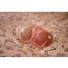 Filibabba Silicone Baby Pacifier Set | 2 Pack Temporary Pacifiers in Coral | Danish Design | 0-6 Months | Includes Pacifier Box - Buy Online on GoSupps.com