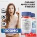 KetoXcel ACV Keto Gummies - Advanced Weight Loss Supplement with Apple Cider Vinegar - 60 Gummies - Buy Online on GoSupps.com