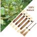 Buy Tao Pipe Catnip Sticks - 6 Interactive Matatabi Chewing Toys for Dental Care & Fresh Breath - Safe Silver Vine Sticks for Cats - Buy Online on GoSupps.com