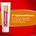 Cortizone-10 Maximum Strength Anti-Itch Ointment 2 oz - Water Resistant Formula - Buy Online on GoSupps.com