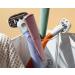 Cekaso Flamingo Women's Shave Set with Razor Handle, 2 Five-Blade Cartridges, Shave Gel, Shower Holder - Sage - Buy Online on GoSupps.com