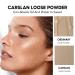 CARSLAN Translucent Matte Oil Control Setting Powder for Oil Skin Tones - 24h Longlasting & Brightening Formula - Buy Online on GoSupps.com