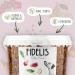 Training Bones for Rabbits with Apple & Kale - 1kg Bucket | Premium Pet Treats for Healthy Pets - Buy Online on GoSupps.com