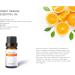 Citrus Essential Oil Set - Pack of 6 Pure Therapeutic Grade 10ml Oils | Lemon Grapefruit Sweet Orange Lime Bergamot & Petitgrain - Buy Online on GoSupps.com