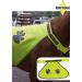 High Visibility Dog Vest - Nashville Print Factory | Safety Custom Name & Size M - Buy Online on GoSupps.com
