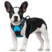 rabbitgoo dog harness medium -sized dogs anti train crockery dog with control no pull adjustable dog dishes large dogs breathable reflex stripes breast harness dog safe guide light blue s s (1 Pack) light blue