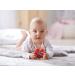 HABA 304290 Greifling Star Red - Baby Teething Toy for 6+ Months | Dishwasher Safe Toddler Toy | International Shipping Available - Buy Online on GoSupps.com