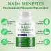 XINSZLIN NAD Supplement NAD Nicotinamide Riboside Resveratrol 910mg High Purity NAD Supplement for Healthy Cellular Function Supports NAD Levels Healthy Skin Aging Dietary Supplement 120 Capsules - Buy Online on GoSupps.com