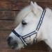 Soulhorse Bridles & Lucky Charms for Horses | Pink Charm Keychain & Trailer Accessories - Buy Online on GoSupps.com