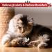 GiGwi Interactive Cat Feather Toy with Melody Chaser and Squeaky Bird - Plush Toys for Indoor Cats - Buy Online on GoSupps.com