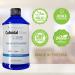 Colloidal Silver Liquid - 12 PPM Premium Silver Solution | Vegan Immune Support | Ionic Silver Water Mineral Supplement - 16 Fl oz - Buy Online on GoSupps.com