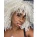 Shop Colorfulpanda Afro Kinky Wigs for Women | Short Wavy Synthetic Wig - Naturally Curly & Stylish - Buy Online on GoSupps.com