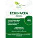 Buy Vita Ideal Vegan Echinacea - 100g Cut & Dried Purple Sunroot Herbal Tea - Boost Immunity & Wellness - International Shipping Available - Buy Online on GoSupps.com