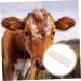 Minkissy Pregnancy Test for Cows | 1 Piece Progesterone Detection Tool | International Shipping Available - Buy Online on GoSupps.com