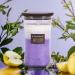 Aroma Naturals 3-Layer 21.52 oz Scented Candle | Lavender & Bergamot Aromatherapy | Up to 100 Hours Burn Time - Buy Online on GoSupps.com