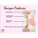 Premium Certified Rose Quartz Pink Roller & Gua Sha Set for Skin Care & Muscle Relaxation - Buy Online on GoSupps.com