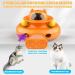 Dreamon 4-in-1 Interactive Electric Cat Toy - Self-Entertainment Cat Intelligence Toy with 5 Spring Replacements & USB | Best for International Shipping - Buy Online on GoSupps.com