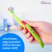 Wellsamed Fantasy 2 Children's Toothbrush - Bright Orange-Blue Set of 6 for Kids & Babies - International Shipping Available - Buy Online on GoSupps.com
