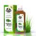 GARDEN OF NUTRITION Herbal and Ayurvedic Wheatgrass Juice | Natural Cleanser & Blood Purifier | No Added Sugar (500ml) Pack of 2