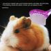 POPETPOP 4pcs Pet Hair Comb Hamster Hair Grooming Cleaning Brushes Pet Animal Bathing Brushes for Guinea Pig Chinchilla Ferret (Random Color) - Buy Online on GoSupps.com