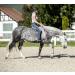 Buy USG 15200002 Adjustable Neck Ring - Round Black/Green for All Your Equestrian Needs | International Shipping Available - Buy Online on GoSupps.com