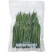 FoodSaver Vacuum Sealer Bags Rolls 8 x 20' (3-Pack) - Airtight Food Storage & Sous Vide - Buy Online on GoSupps.com