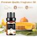 Bakery Essential Oils Set - Aromatherapy Fragrance Oils for Diffusers & Candle Making | Pumpkin Pie Coffee Cake Oatmeal Cookie & More (14 Pack 5ml Each - Buy Online on GoSupps.com