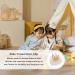 Uonlytech Strass Crown Hair Clip - Princess Tiara Bobby Pins for Girls - Crystal Hair Clasp for Children - Beige - Buy Online on GoSupps.com