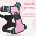 Rabbitgoo Small Dog Harness - Adjustable No-Choke Design Reflective Chest Strap & Padded Comfort (Pink) - Perfect for Easy Control & Training - Buy Online on GoSupps.com