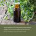 Marjoram Essential Oil - Aceite de Mejorana Direct from Egypt for Massage & Aromatherapy | Premium Therapeutic Grade (2lbs) Marjoram 32 Fl Oz (Pack of 1) - Buy Online on GoSupps.com
