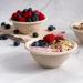 150 Pack 8 oz Compostable Paper Bowls - Biodegradable Sugarcane Bowls for Ice Cream, Desserts, Pet Food - 8oz Disposable Soup Bowls - Buy Online on GoSupps.com