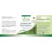 Fairvital | Bergamot extract 500 mg - 90 capsules - 5 times concentrated of 2500 mg bergamot - High dosed - 100% vegan - Quality control - Made in Germany - Buy Online on GoSupps.com