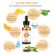 Vitamin C Face Serum with Hyaluronic Acid - Anti-Aging Brightening for Dark Spots & Wrinkles | Korean Skincare 2 Fl Oz - Buy Online on GoSupps.com