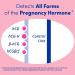 First Response Early Pregnancy Test 2 Pack - 2 Count - Buy Online on GoSupps.com