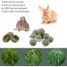 10pcs Barley Ears Chew Toys for Small Animals | Rabbit, Hamster, Guinea Pig | Teeth Grinding & Boredom Breakers - Buy Online on GoSupps.com