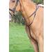 Shires Aviemore Running Martingale Choose Colour & Size Small Pony Havana - Buy Online on GoSupps.com