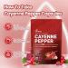 Cayenne Pepper Supplement Supports Leg Vein Heart and Blood Vessel Health with Turmeric Cinnamon Vitamin E D3 K2 & Extracts of Grape Seed Hawthorn Beetroot Berberine and Other (240 Capsule) - Buy Online on GoSupps.com