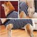 Doton Hospital Suit for Dogs & Cats - Wound Protection Medical Clothing for Puppies | After Surgery Recovery | Comfortable Replacement Collar & Cone (S Blue Striped) - Buy Online on GoSupps.com