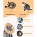 Supet Rewrise Adjustable Cat Collar Cone for Surgery Recovery | Orange | Fits 21.5-30.5cm Neck | Ideal for Dogs & Cats - Buy Online on GoSupps.com