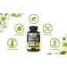 Premium Ashwagandha KSM-66 Root Extract - 180 Vegan Capsules | 1200 mg/day Magnesium Zinc Vitamin B6 | Boost Energy & Balance | GMO Free - Buy Online on GoSupps.com