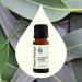 Plant Therapy Eucalyptus Radiata Essential Oil 10 mL (1/3 oz) 100% Pure Undiluted for Aromatherapy Respiratory Support & Focus 0.33 Fl Oz (Pack of 1) - Buy Online on GoSupps.com