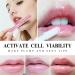 Moisturizing Plant Extract Lip Balm Hydrating Lip Oil Moisturizing Lip Tint Lipgloss Essence (Multicolor) - Buy Online on GoSupps.com