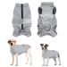 Eyein Dogebody after op breathable soft one-piece for dogs with zipper and belt to protect wounds e-neck band Alternative for pets (gray l) L gray