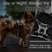 Eagloo Adjustable Dog Harness for Small Dogs - Anti-Training Dishes with Reflex Strips Durable and Comfortable for Walking & Jogging - XS Gray - Buy Online on GoSupps.com