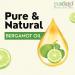 PUROLEO Bergamot Essential Oil 16 Fl Oz/473 ML (Packed in Canada) 100% Pure and Natural for Aromatherapy Skin and Hair Care - Therapeutic Grade Oil for Relaxation Mood Boost and Meditation 16 Fl Oz (Pack of 1) - Buy Online on GoSupps.com