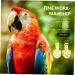 POPETPOP 6 PCS Parrot Flight Suit - Diapers for Birds Pigeon Flight Suit & Conure Harness - Cotton Set (3 Yellow 3 Mixed Colors) - Buy Online on GoSupps.com