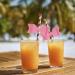 Straw Bow Straw Bow - Reusable Cute Straw s Straw Tips Plugs Decor for Wedding Party Birthday Party Naixue - Buy Online on GoSupps.com